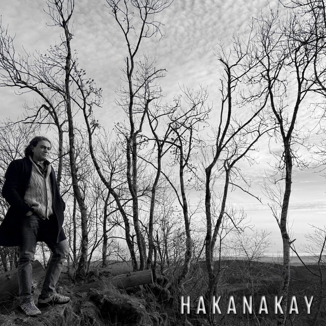 Per album image
