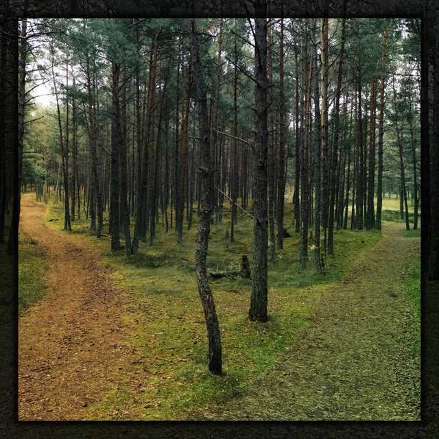 the roads that shaped us