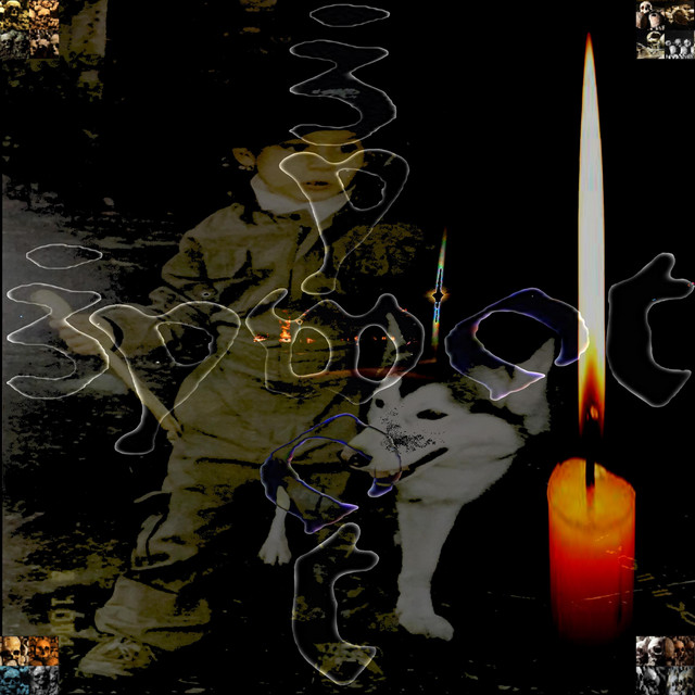 Cover art for Want To Sleep — żywot