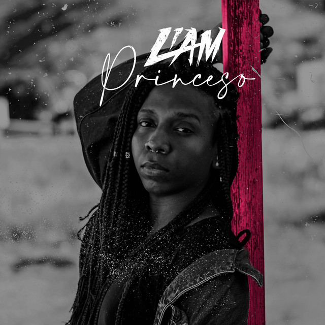 Princeso cover art