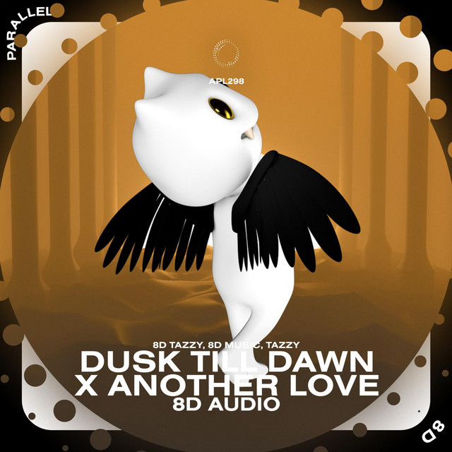Dusk Till Dawn x Another Love - 8D Audio cover art