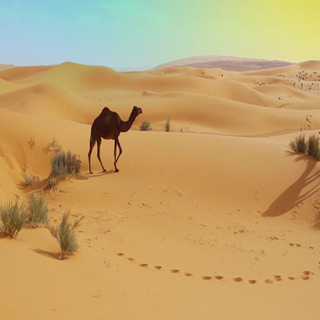 سعود الدلبحي