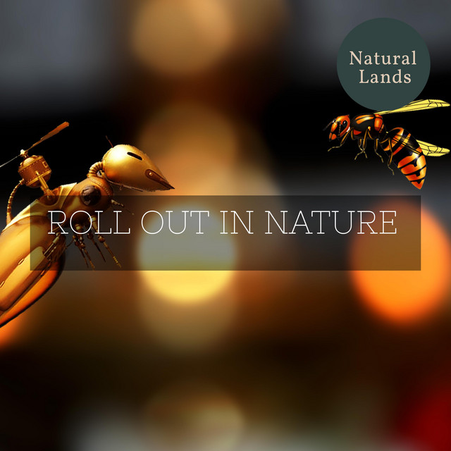 Blind Insects - song and lyrics by Aweful Nature Serenity Vibes | Spotify