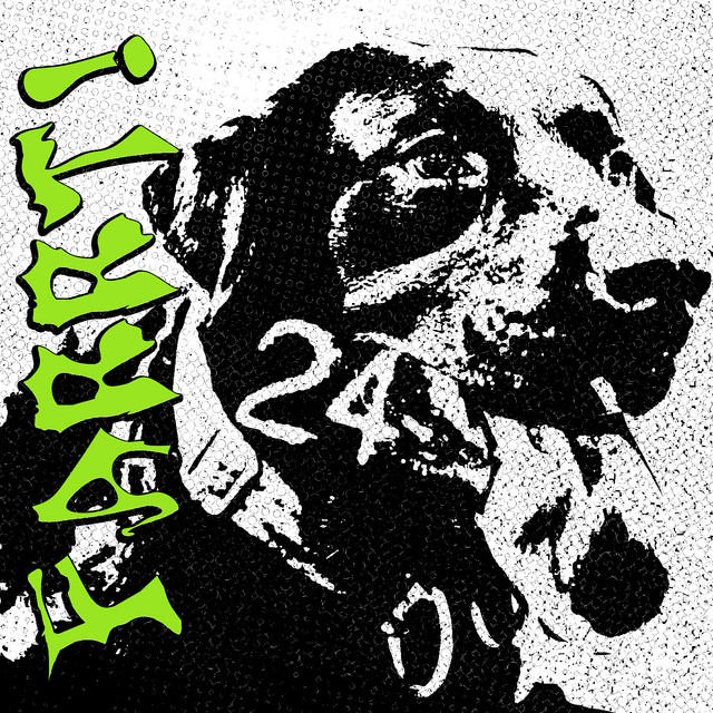 24 cover art