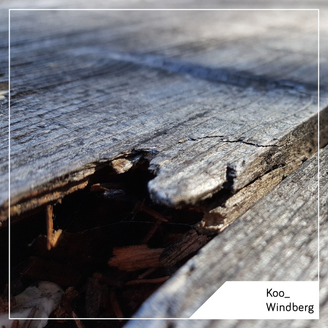 Windberg LP cover art