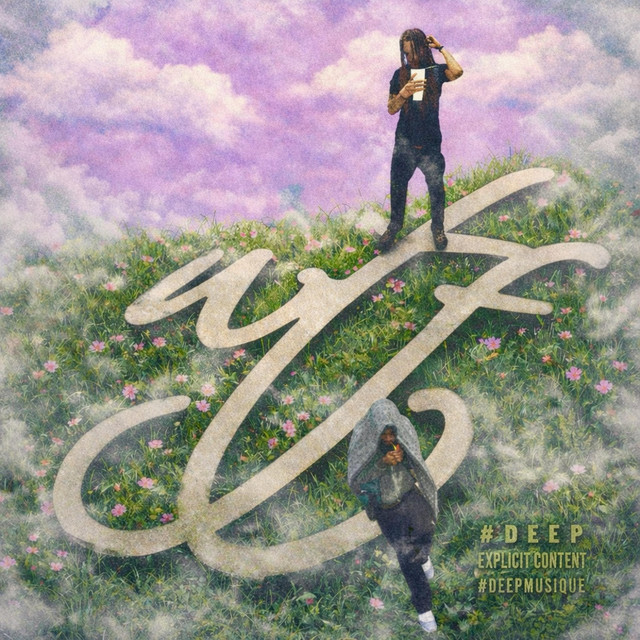WTF...? cover art