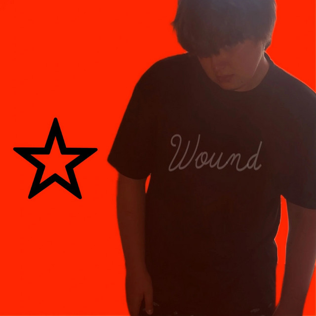 Wound cover art