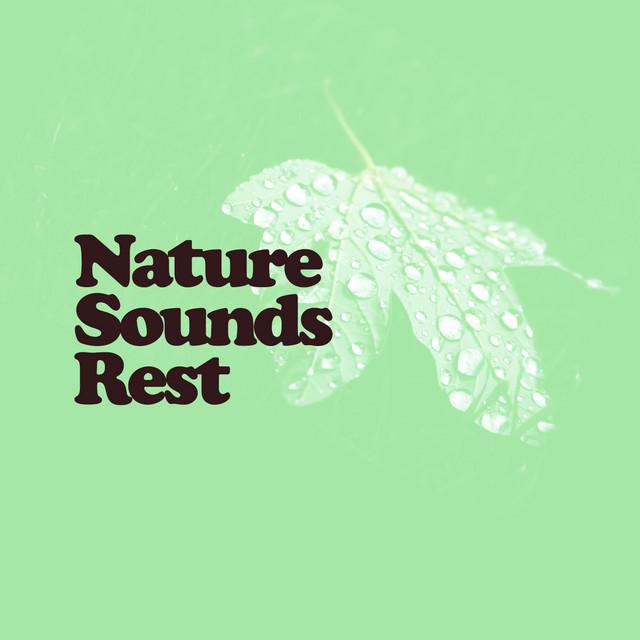 Nature Sounds Rest cover