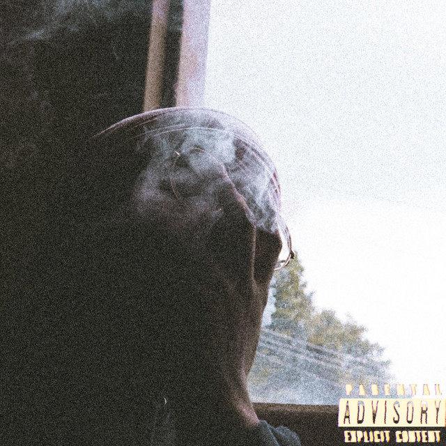 No Signal cover art