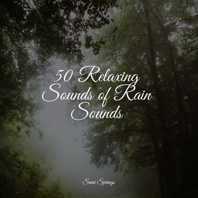 50 Relaxing Sounds of Rain Sounds - Album by Namaste Healing Yoga | Spotify