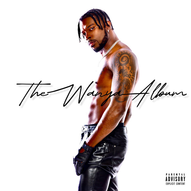 Swirl'n cover art