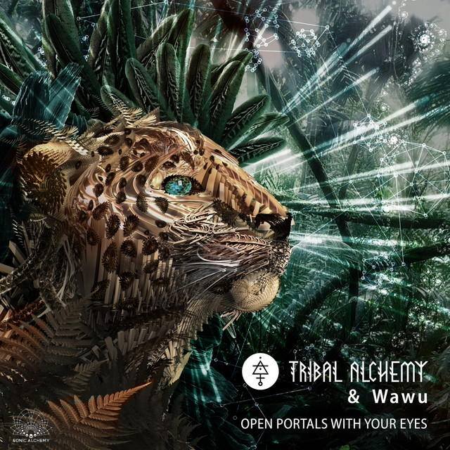 Open Portals with Your Eyes cover
