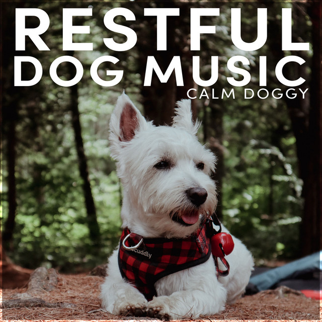 Restful Dog Music - Album by Calm Doggy | Spotify