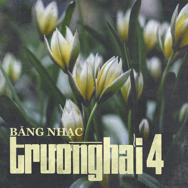 Trường Hải 4 cover art