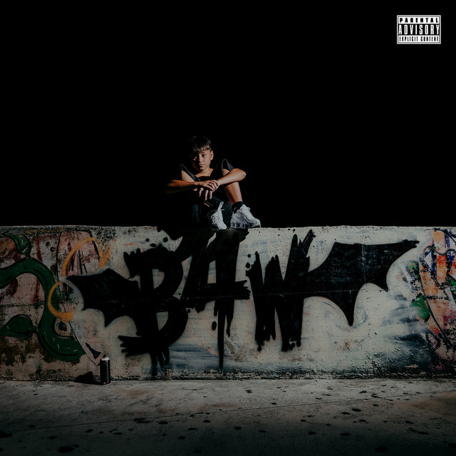 undefined album image