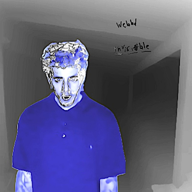 invisible cover art