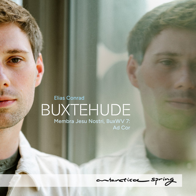 Buxtehude: Membra Jesu Nostri, BuxWV 75: VI. Ad Cor (Arr. for Baroque Lute by Elias Conrad) album image