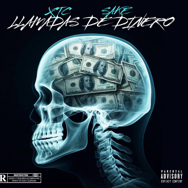 LLAMADAS DE DINERO cover art