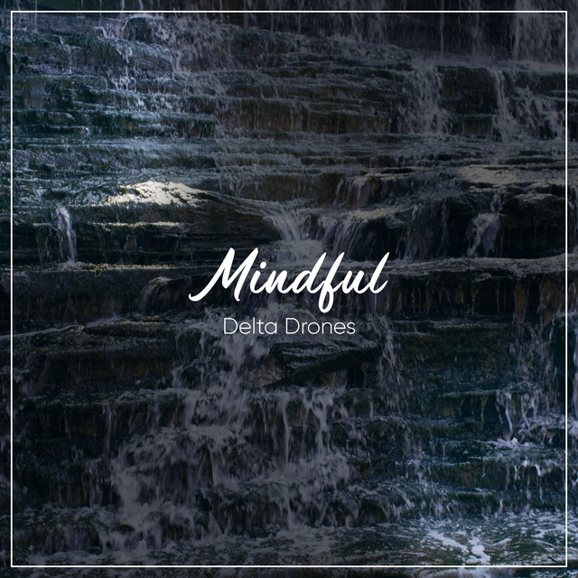 #17 Mindful Delta Drones cover art
