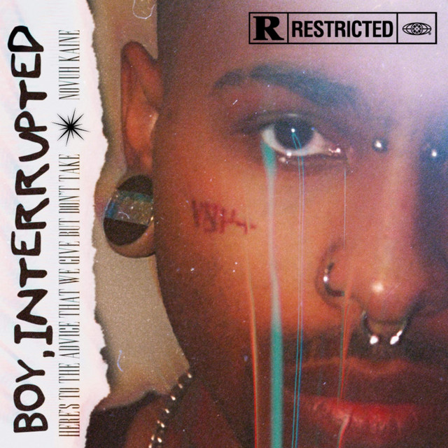 Boy, Interrupted cover art