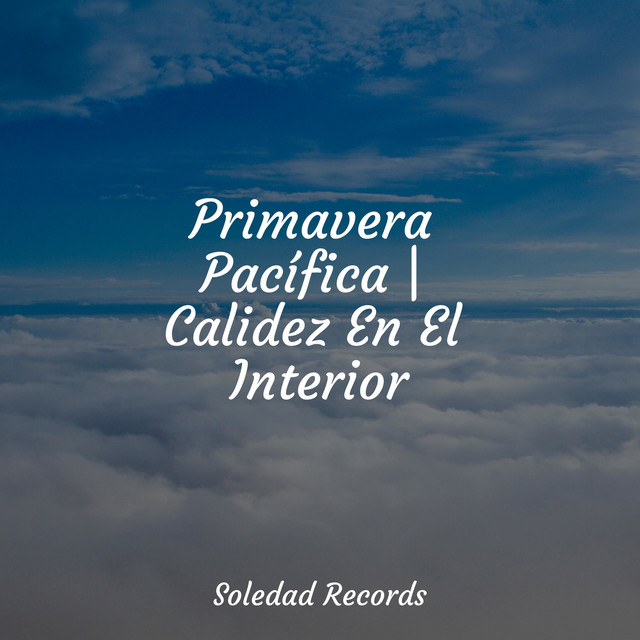 Primavera Pacífica | Calidez En El Interior
