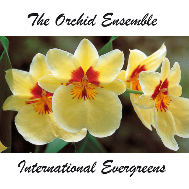 International Evergreens cover