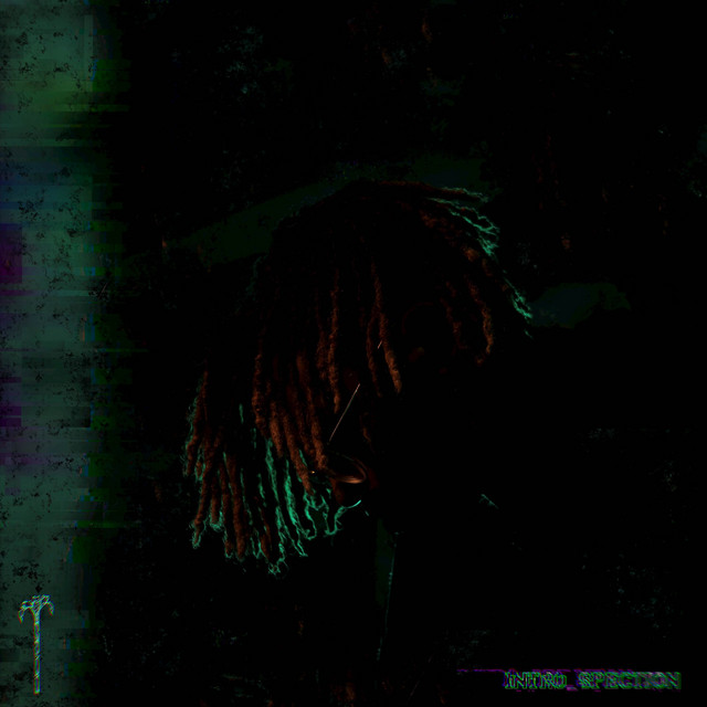 Introspection cover art