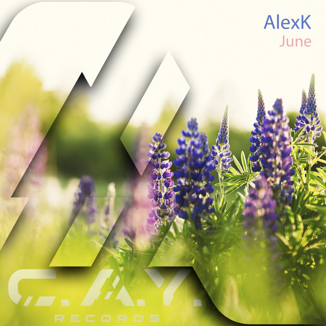 Обкладинка: June - Original Mix — AlexK