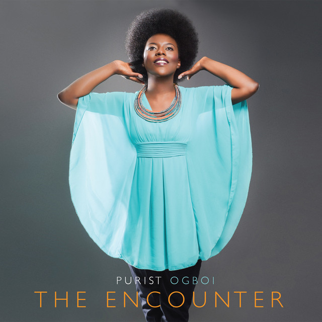 The Encounter cover art