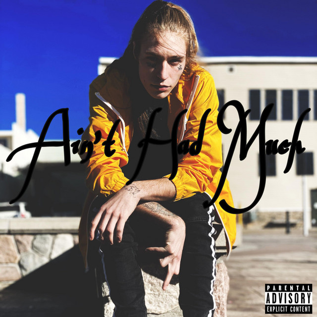 Ain't Had Much - Single by Toxic Reality | Spotify