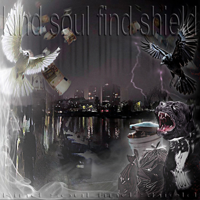 ksfs (kind soul find shield) cover art