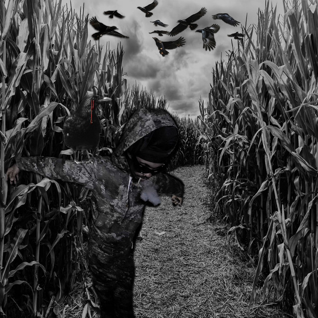 Posted Where the Scarecrows Play - Album by Sickboyrari | Spotify