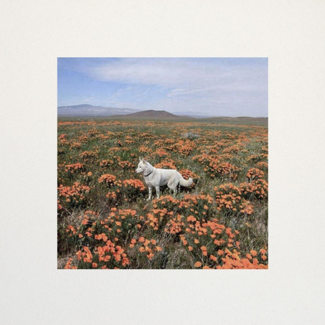 Kingdom Of Coldness cover art