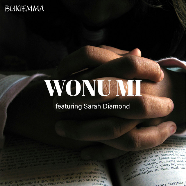 Wonu Mi cover art