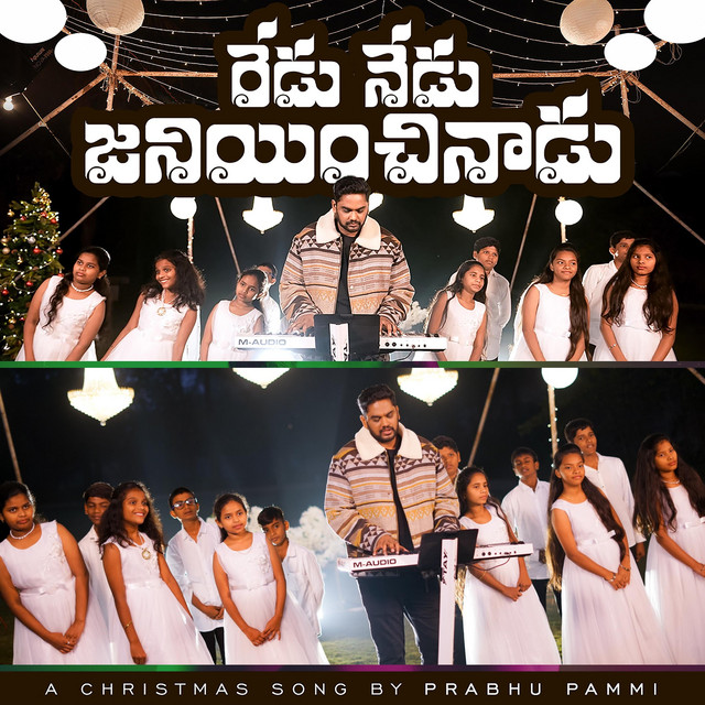 REDU NEDU JANIYINCHINADU cover art