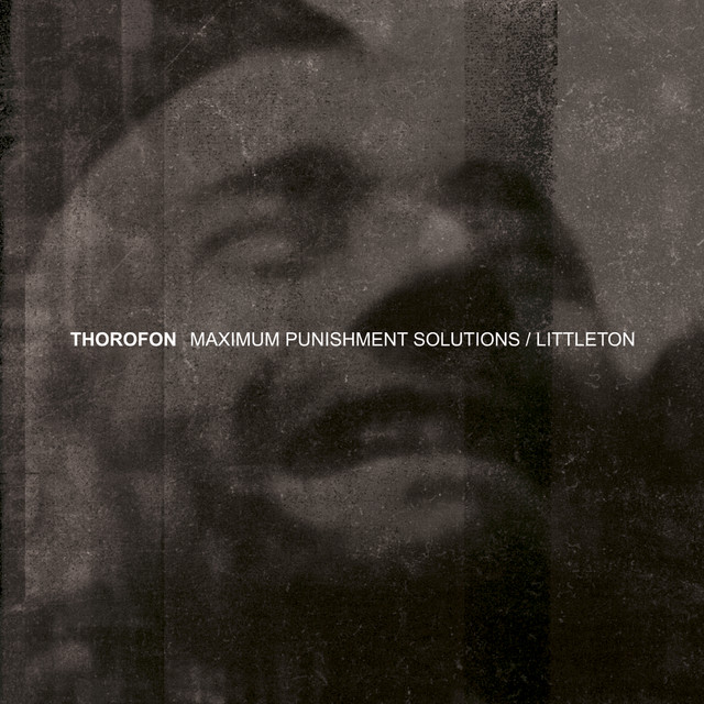 Maximum Punishment Solutions / Littleton cover art