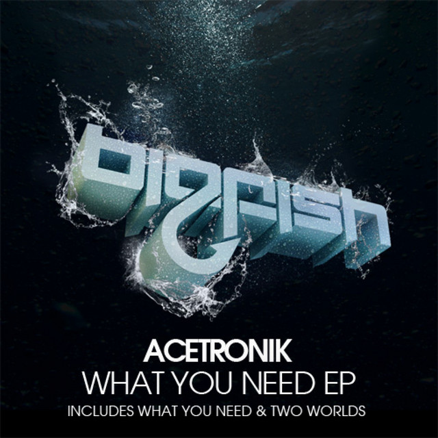 What You Need EP cover