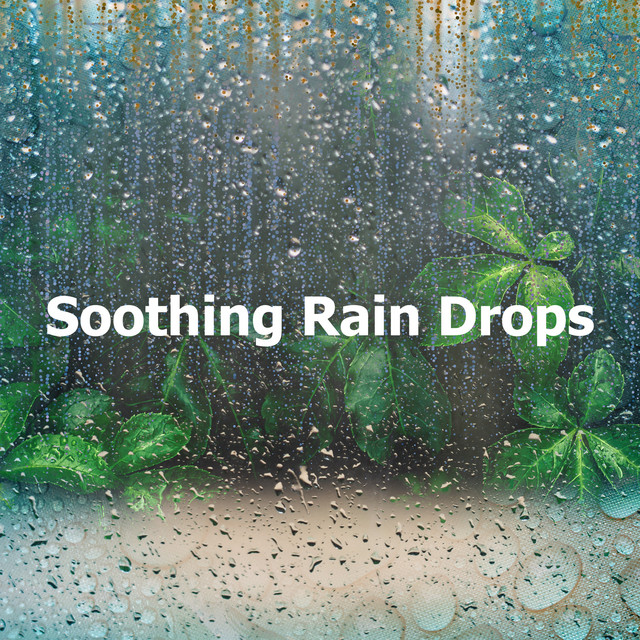 Soothing Rain Drops - Album by Rain Sounds For Deep Sleep | Spotify