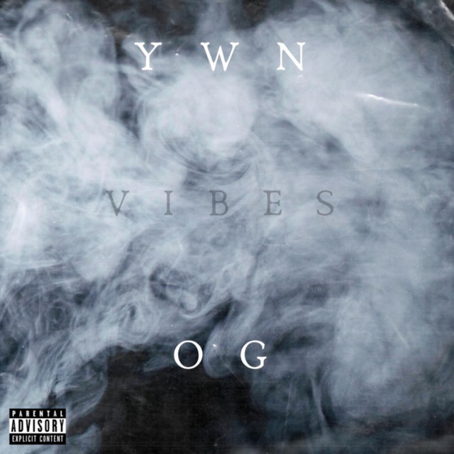 Vibes - Album by YWN OG | Spotify