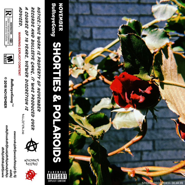 Shorties & Polaroids cover art