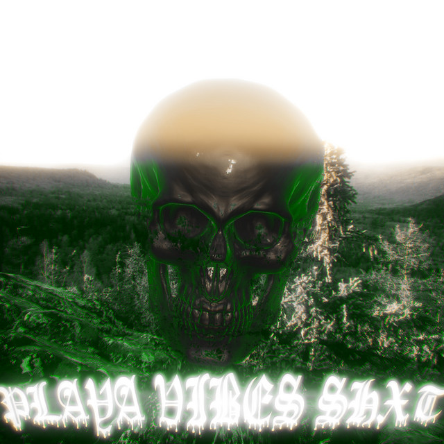 Playa Vibes Shxt cover art