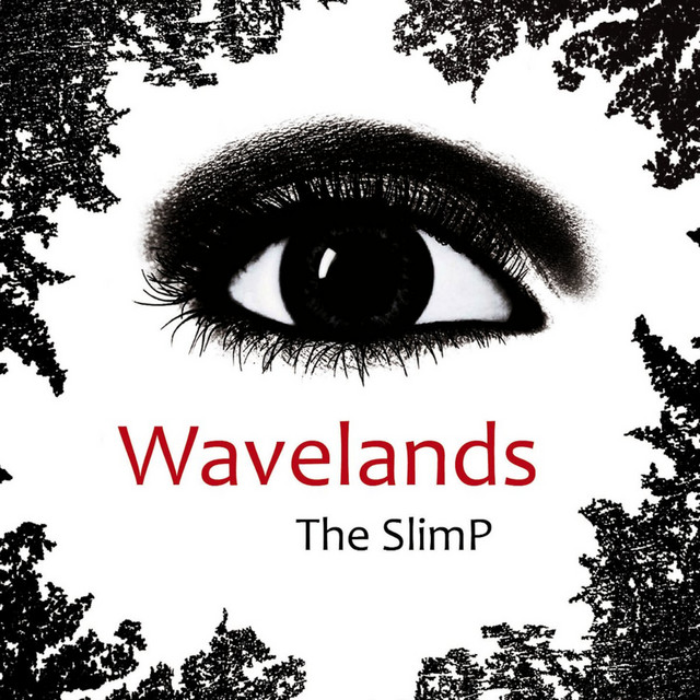 Wavelands album image