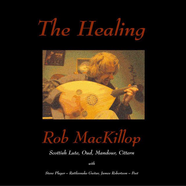 The Healing cover art