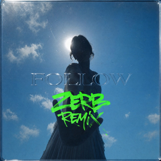 Follow (Zerb Remix) album image