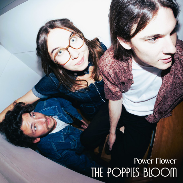 Pochette du titre The Door