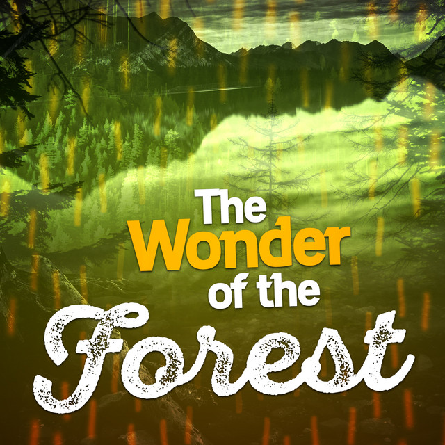 The Wonder of the Forest