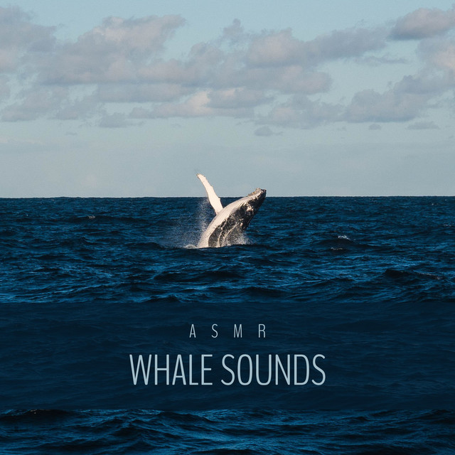 Whales in Deep Ocean cover art