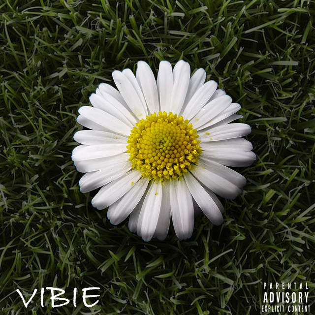 Daisy cover