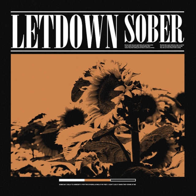 Sober cover art