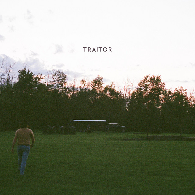 traitor cover art